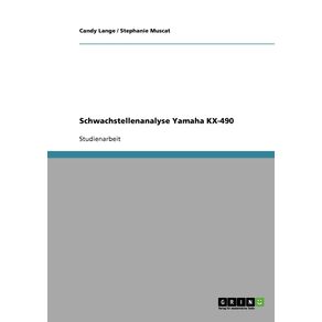 Schwachstellenanalyse-Yamaha-KX-490