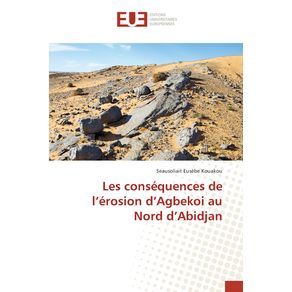 Les-consequences-de-lerosion-dAgbekoi-au-Nord-dAbidjan