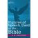 Figures-of-Speech-Used-in-the-Bible