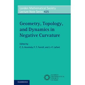 Geometry-Topology-and-Dynamics-in-Negative-Curvature