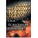 Our-Egalitarian-Universe-