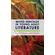 Mixed-Heritage-in-Young-Adult-Literature