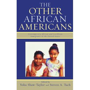 The-Other-African-Americans