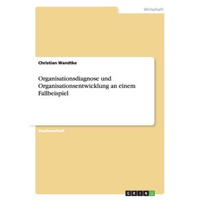 Organisationsdiagnose-und-Organisationsentwicklung-an-einem-Fallbeispiel