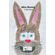 Miss-Bunny---Other-Poems