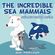 The-Incredible-Sea-Mammals-|-Childrens-Science---Nature