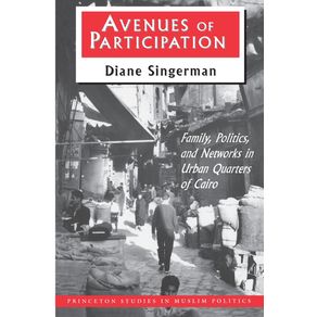 Avenues-of-Participation