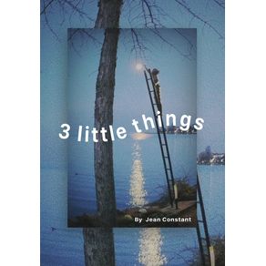 3-little-things