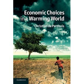 Economic-Choices-in-a-Warming-World