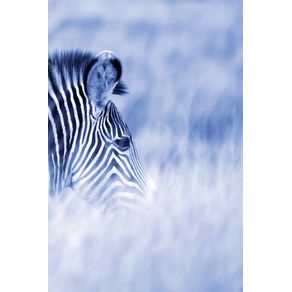 Alive--zebra-stripes---Blue-duotone---Photo-Art-Notebooks--6-x-9-series-