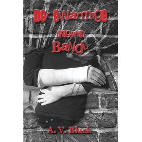 Der-einarmige--vegane--Bandit---Softcover