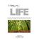 I-Am-Life---Collection-2-
