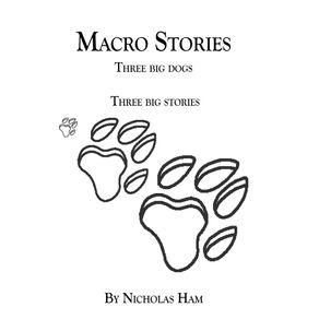 Macro-Stories