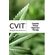 Cannabis-Virtual-Immersion-Therapy--CVIT-