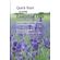 Quick-Start-to-using-Essential-Oils