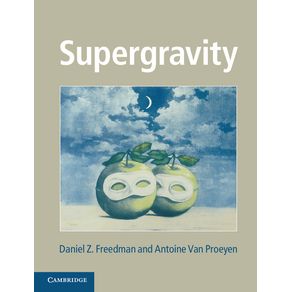 Supergravity