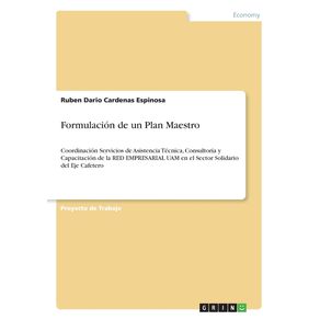 Formulacion-de-un-Plan-Maestro