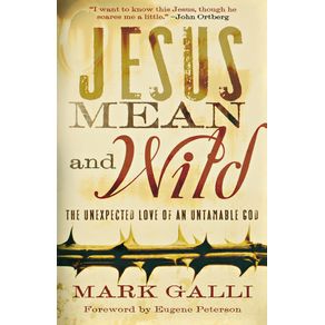 Jesus-Mean-and-Wild
