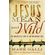 Jesus-Mean-and-Wild