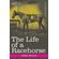 The-Life-of-a-Racehorse