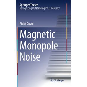 Magnetic-Monopole-Noise