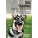 Dog-Training-for-the-Dog-Owner-Effective-Dog-Obedience-Training-Techniques