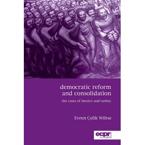Democratic-Reform-and-Consolidation