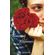 Flowering-Wilderness--the-Forsyte-Saga