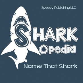 Shark-Opedia-Name-That-Shark
