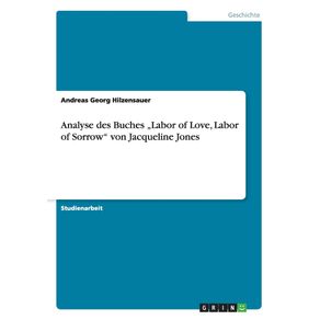 Analyse-des-Buches-„Labor-of-Love-Labor-of-Sorrow-von-Jacqueline-Jones