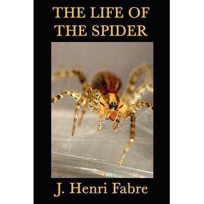 The-Life-of-the-Spider