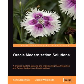 Oracle-Modernization-Solutions