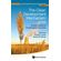 CLEAN-DEVELOPMENT-MECHANISM--CDM--THE