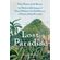 Lost-Paradise