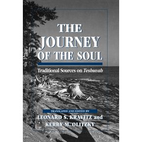 The-Journey-of-the-Soul