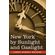 New-York-by-Sunlight-and-Gaslight