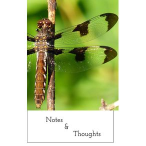 Notes-and-Thoughts