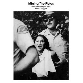 Mining-The-Fields