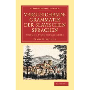 Vergleichende-Grammatik-der-slavischen-Sprachen---Volume-------------2