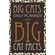 Big-Cats-Daily-Planner