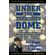Under-the-Tarnished-Dome