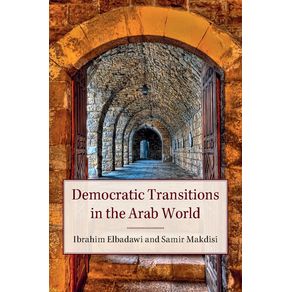Democratic-Transitions-in-the-Arab-World