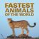 Fastest-Animals-Of-The-World