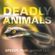 Deadly-Animals