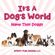 Its-A-Dogs-World--Name-That-Doggy-