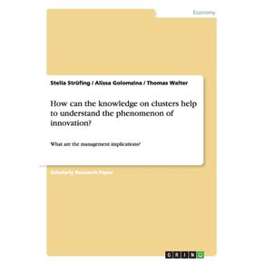 How-can-the-knowledge-on-clusters-help-to-understand-the-phenomenon-of-innovation-