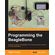 Programming-the-BeagleBone