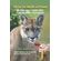 How-to-Walk-a-Puma