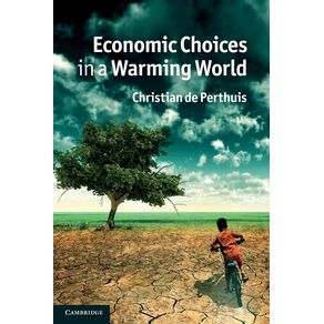 Economic-Choices-in-a-Warming-World