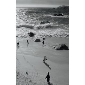 Alive--little-penguin-friends---Black-and-White---Photo-Art-Notebooks--5-x-8-series-